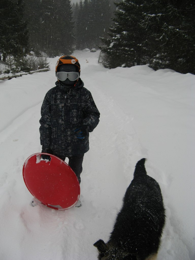 Данил Николенко | 
