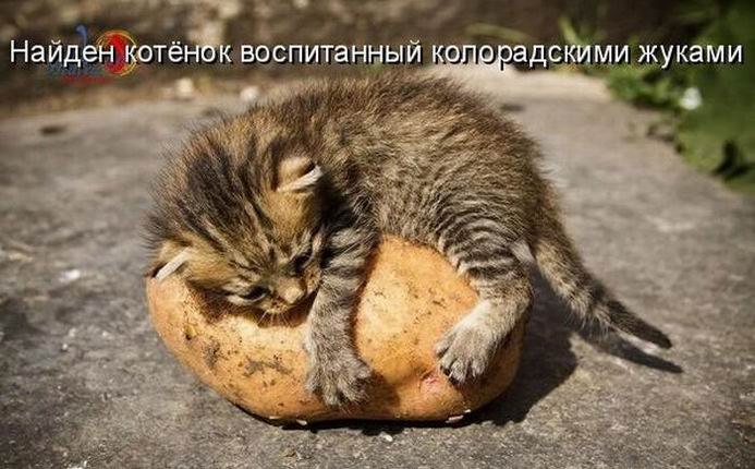 Юрий Кулик | Запорожье