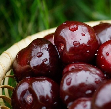 Оксана Антонюк | Одесса