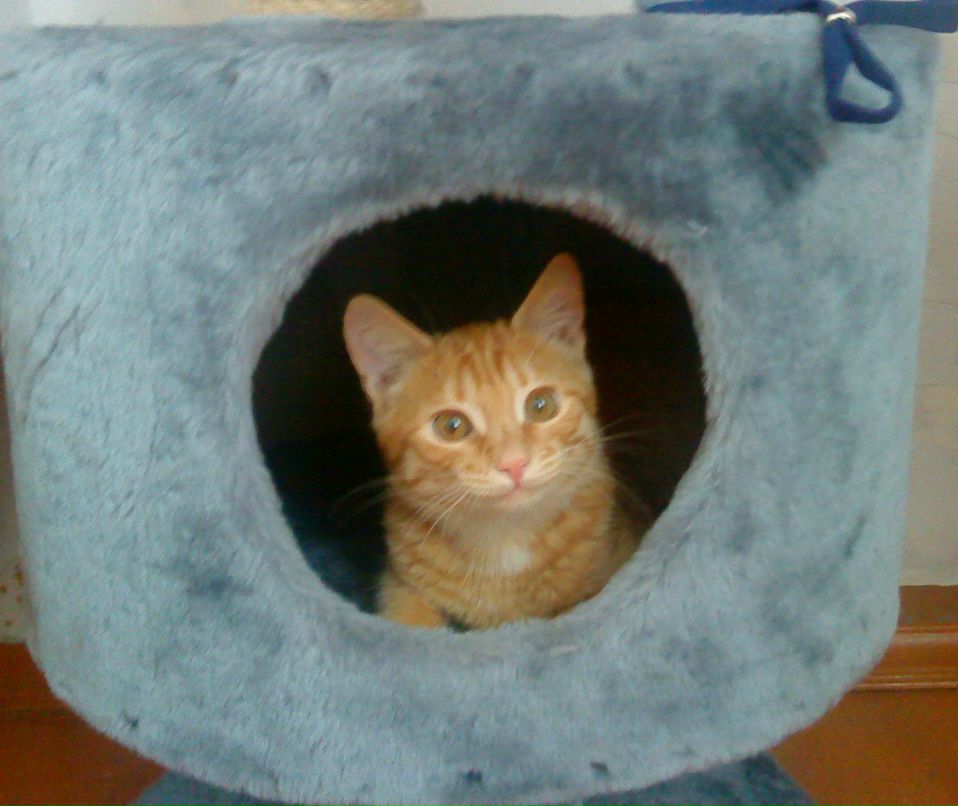 Ольга Буслаева | Москва