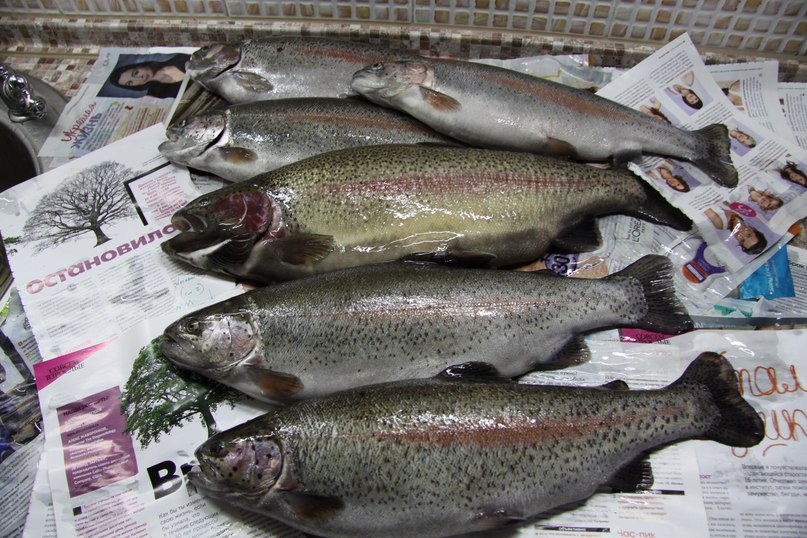 Любовь Мирошникова | Псков