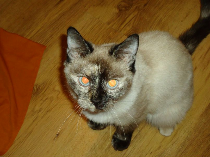 Юля Дёмичева | 