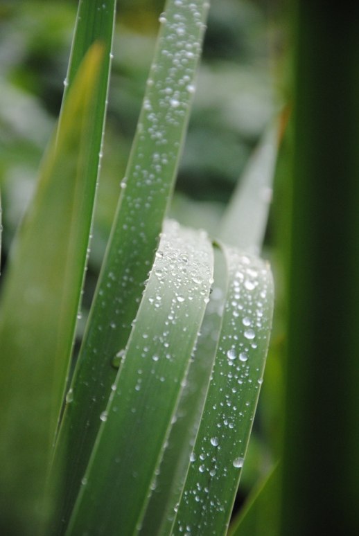 Кристина Смирнова | Иркутск