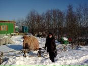 Фотография Сергей Пивоваров