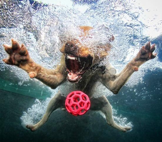 Kolyamba Pimonov | Березовский