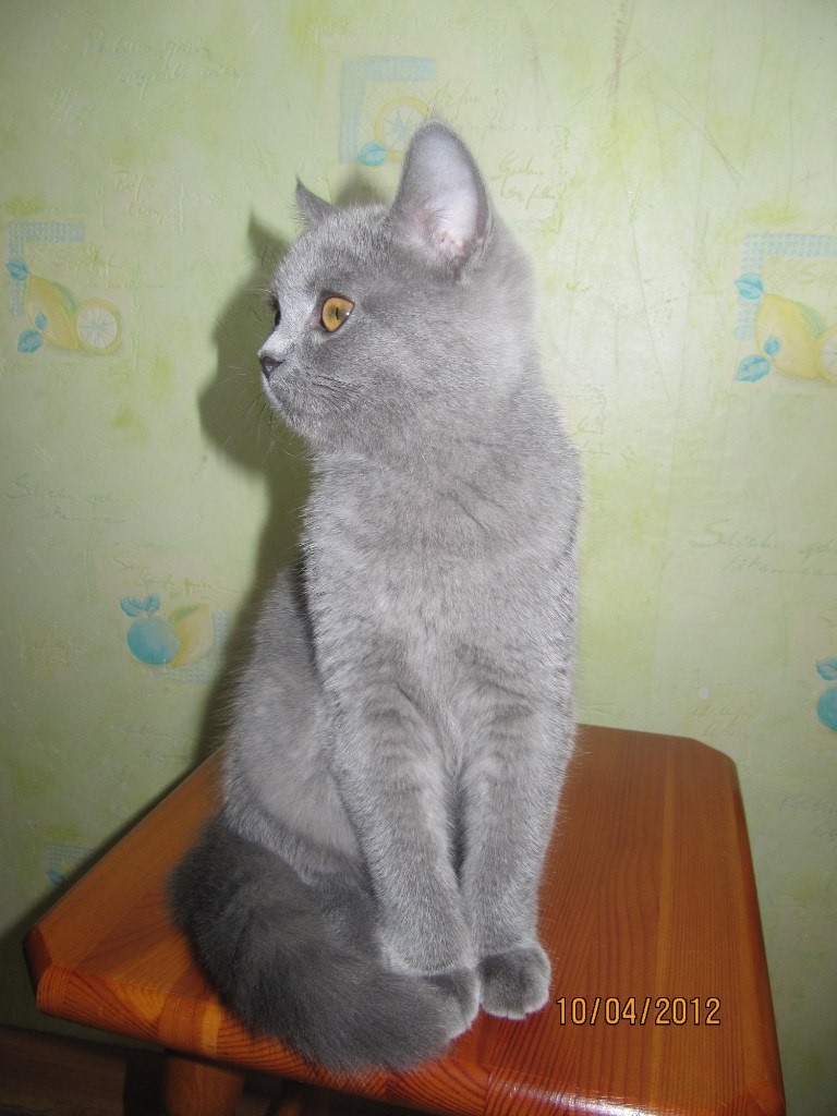 Фото профиля