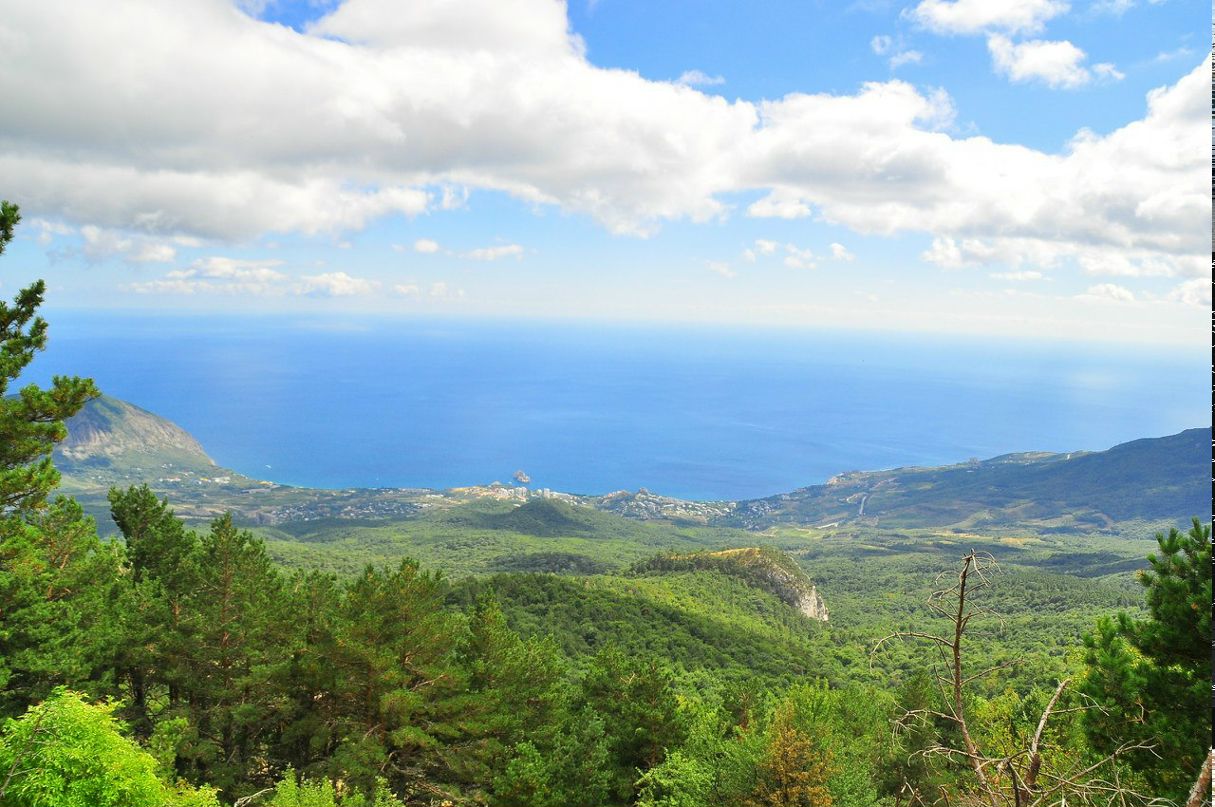 Антон Напалков | Севастополь