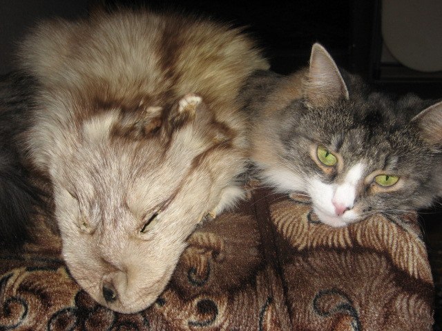 Галина Щербакова-Малеева | Владимир