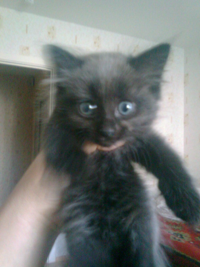 Людмила Писклова | Альметьевск