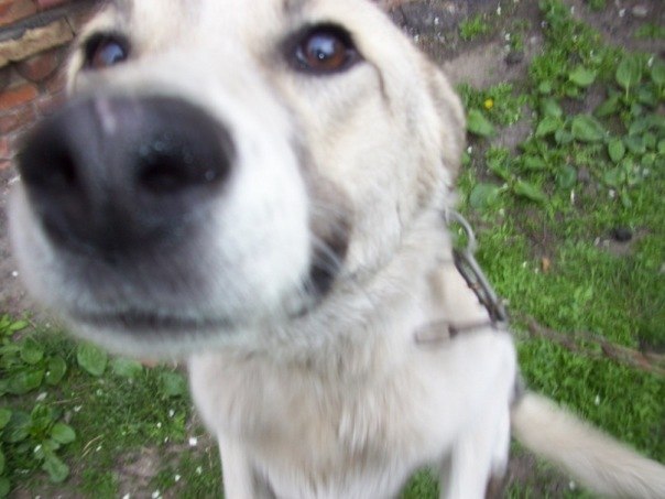 Валентин Волобуев | Харьков