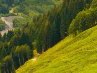 Сергей Петровский | Минск