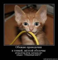 Максим Иванов | Санкт-Петербург