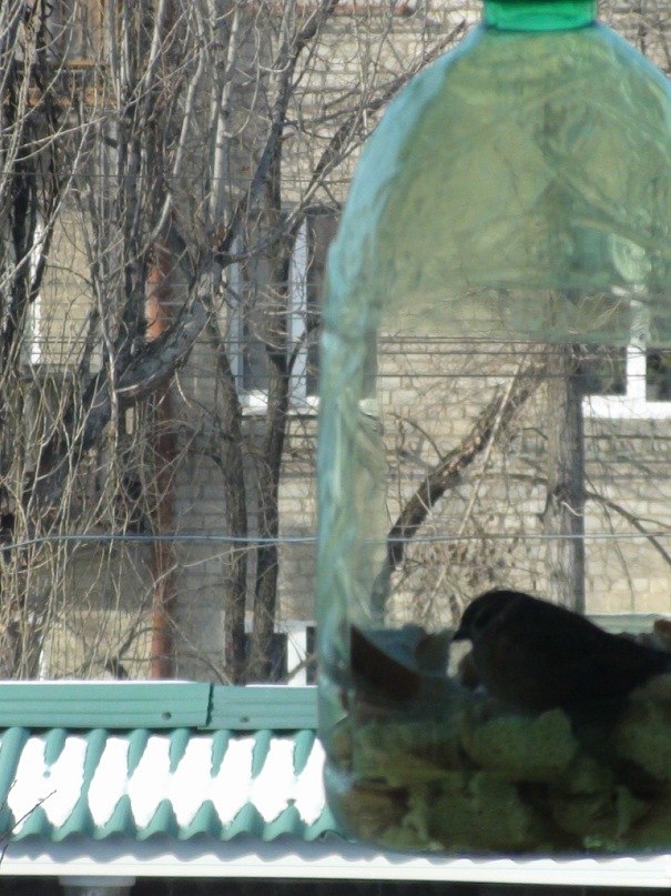 Юра Ветчинкин Joe | Харьков