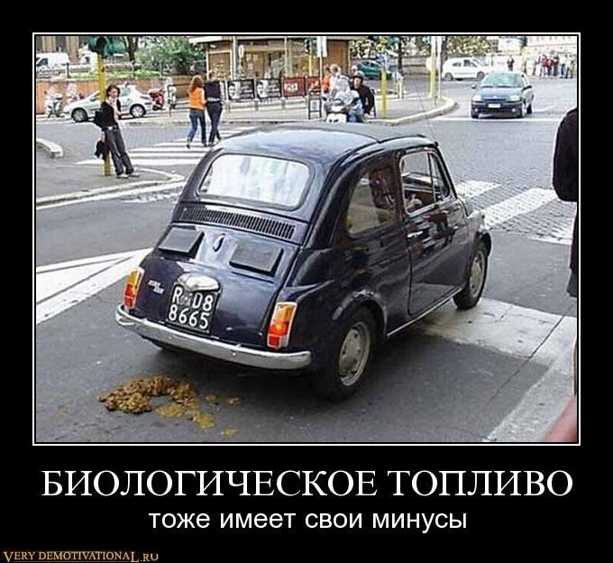 Алексей Вассерман Wolf | Новокузнецк