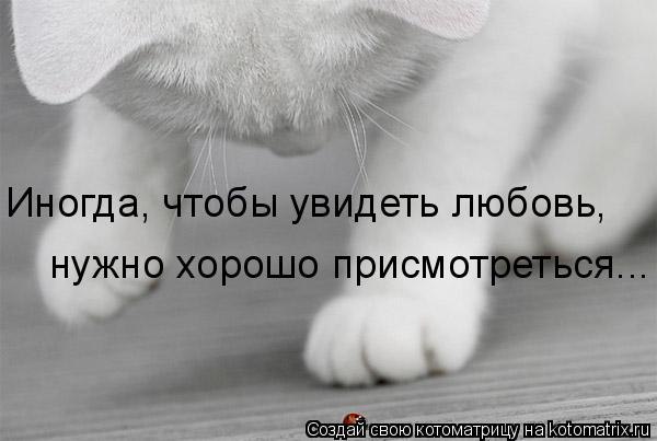 Женек Поляков | Санкт-Петербург