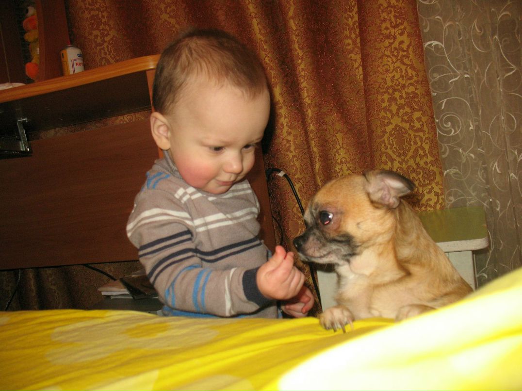 Алексей Кацапов | Чехов