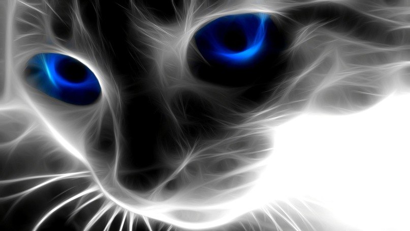 Сергей Никитин | Казань