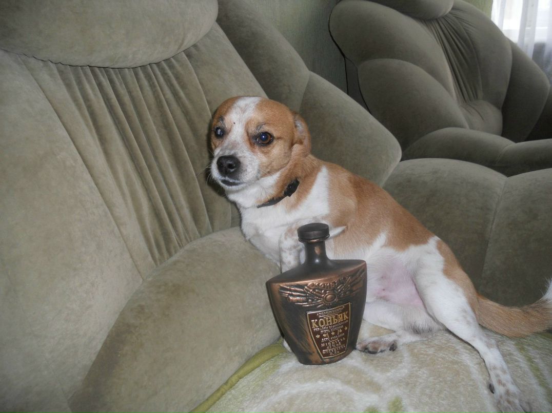 Екатерина Швец ★♥♥●•٠·˙⎛⎝AMOR⎠⎞♥●•★♥ | Запорожье