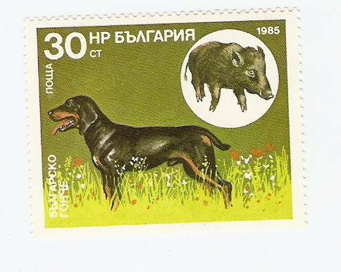 Жека Карпичев | Череповец