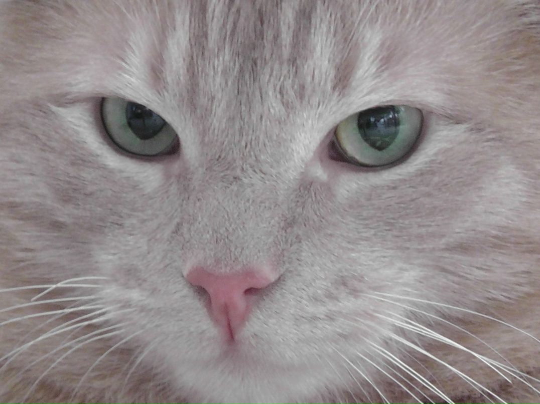 Евгения Смирнова | Санкт-Петербург