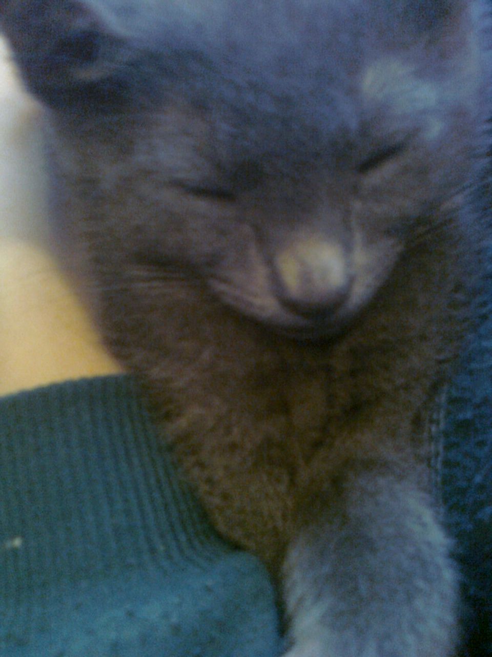 Татьяна Охлопкова | Санкт-Петербург