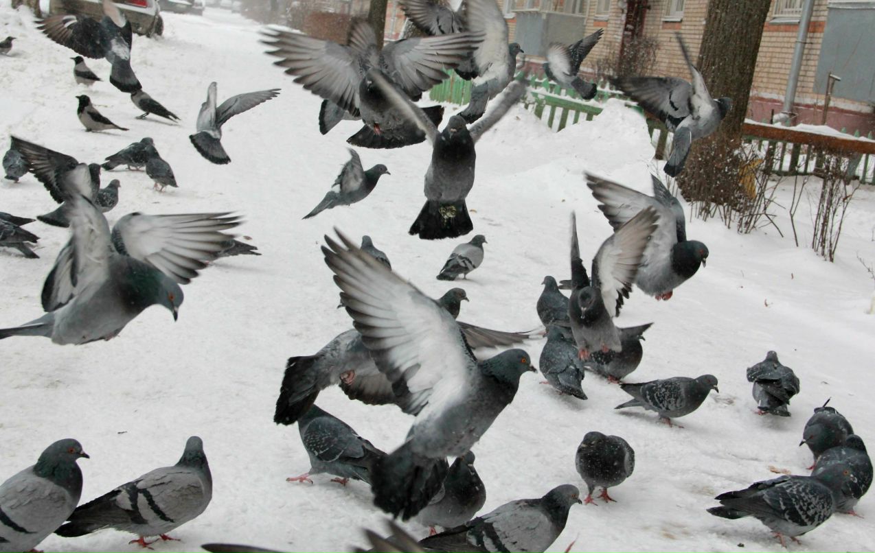 Катерина Анохина | Волжский