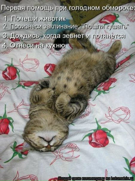 №64, Алёна Зубкова, 36 лет, Киев №64, Алёна Зубкова, 36 лет, Киев