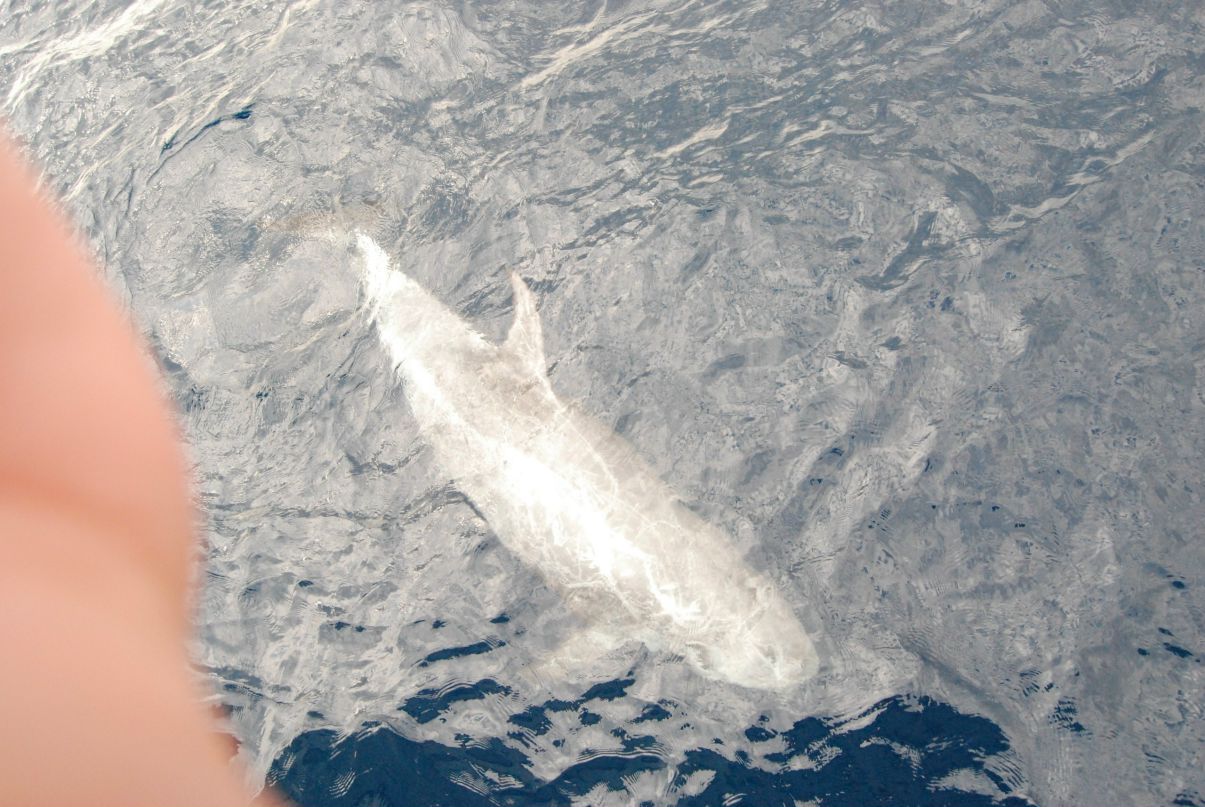 Ирина Рожкова | Екатеринбург