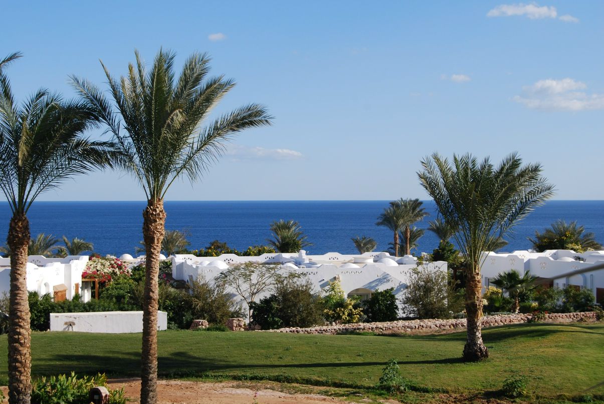 Ирина Рожкова | Екатеринбург