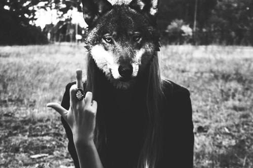 Катя Кошелева | 