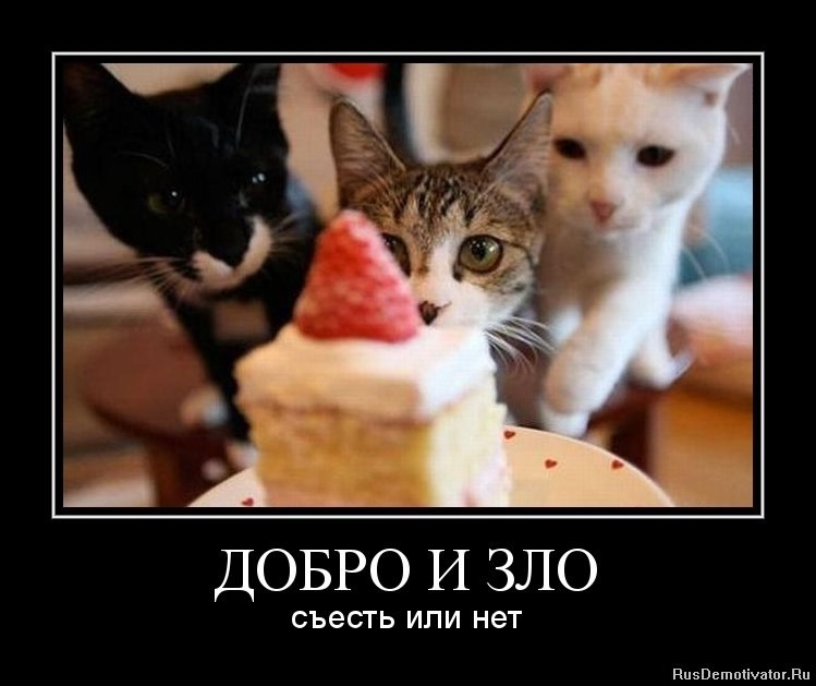 Татьяна Колпакова | Владимир