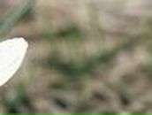 Виталия Сичевая | Кривой Рог