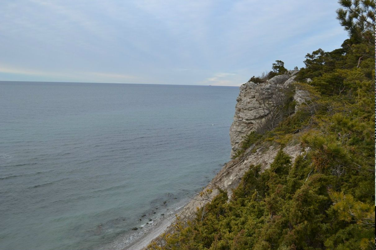 Александр Сафронов | Смоленск