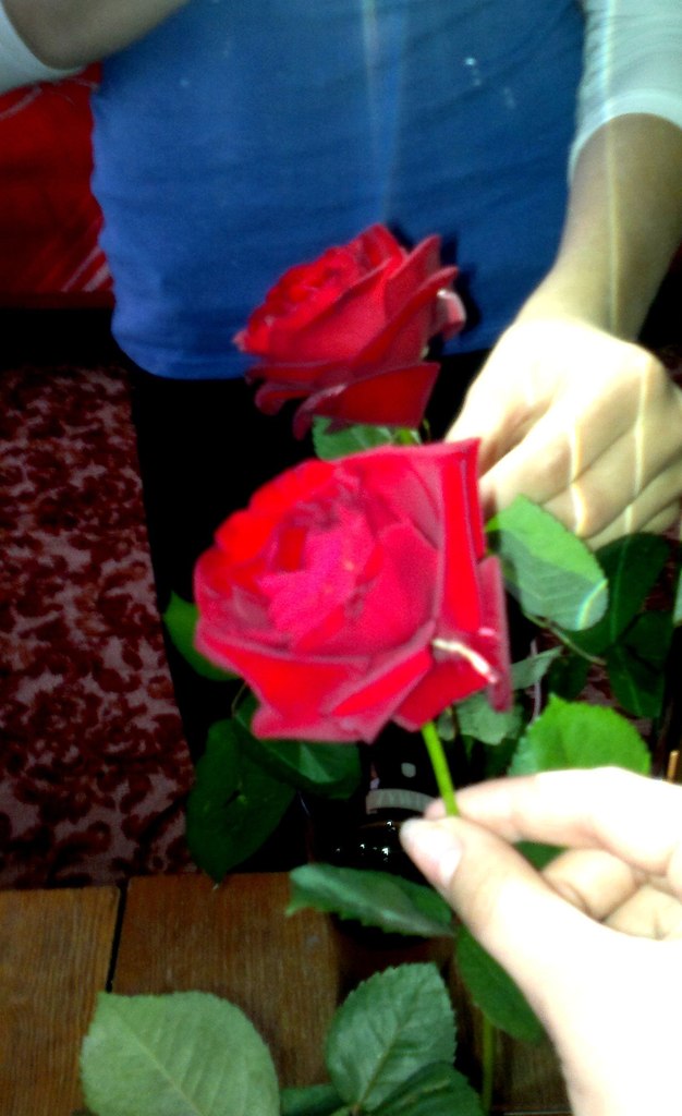 Ирина Янченко ♥○♥ | 