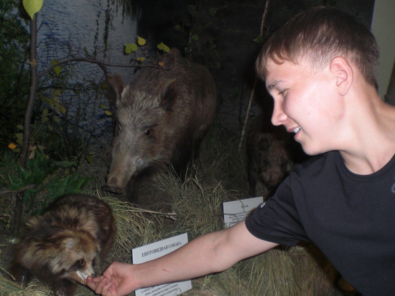 Фото профиля