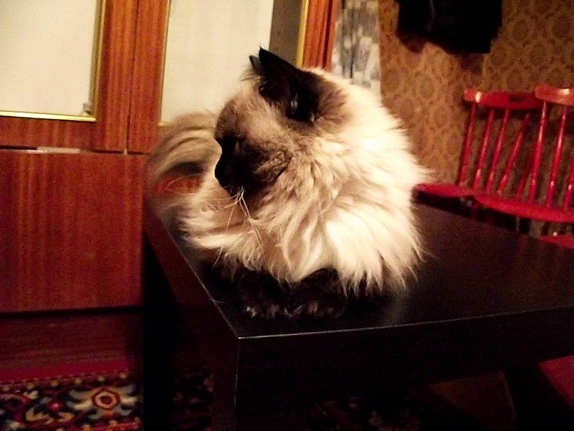 Monro M. | Челябинск