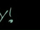 Алёна Высоцкая | Курахово