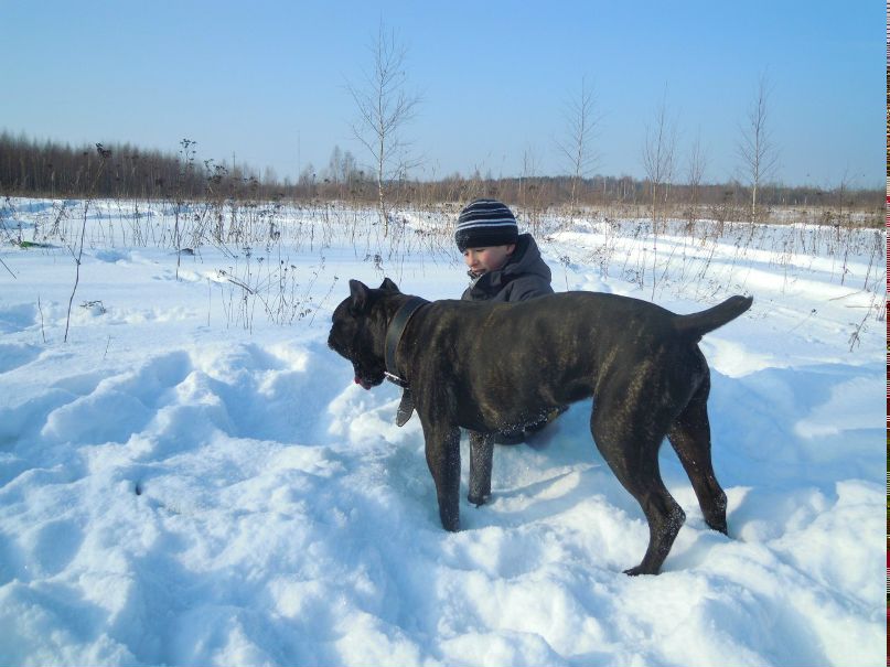 Дмитрий Рушаков | Подольск