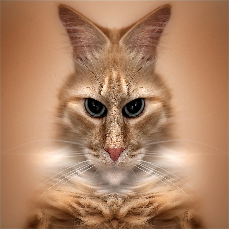 Руслан Малкин | Чапаевск