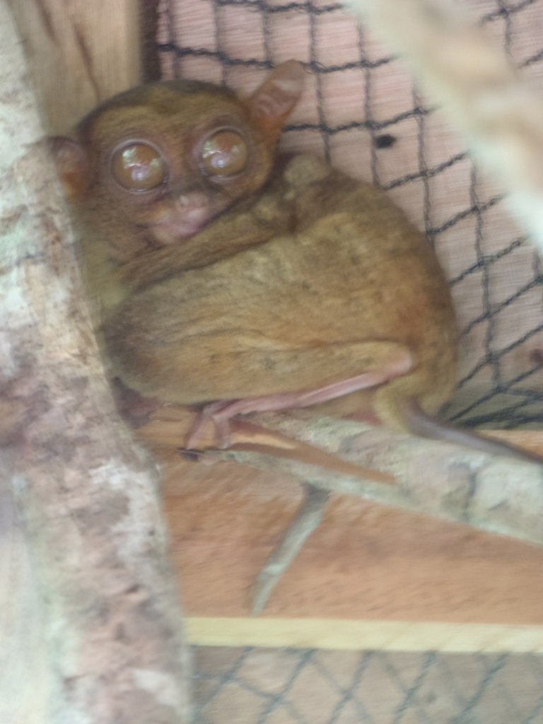 Ирина Семьянова(Загудаева) | Москва