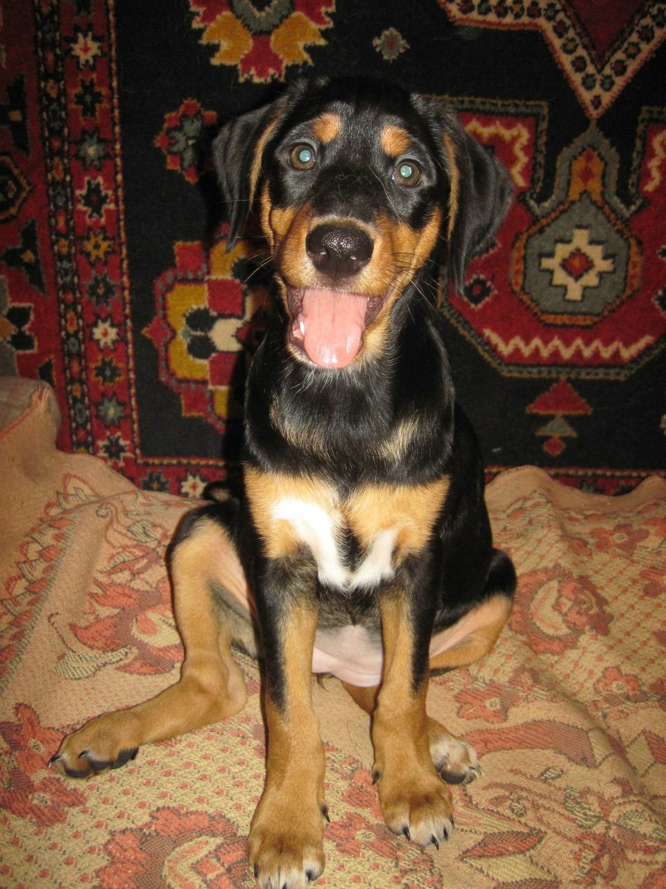 Kiva Redcraftydevil | Старая Русса