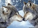 Фотография Костик Евтушок