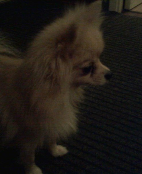 №81, Лидия Богодухова, 30.4.2000, Санкт-Петербург №81, Лидия Богодухова, 30.4.2000, Санкт-Петербург