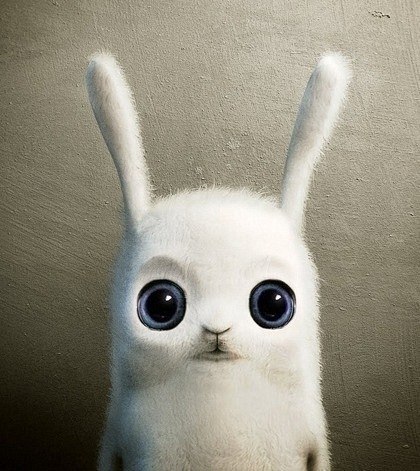 Iam Rabbit | Екатеринбург