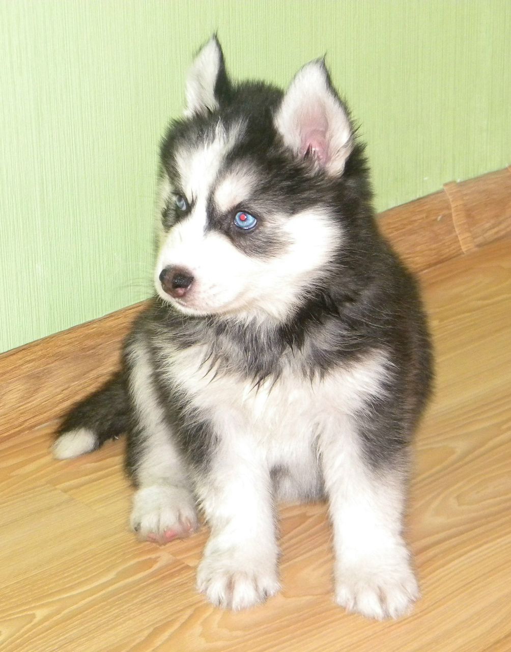 Костя Нечитайло | Северодвинск