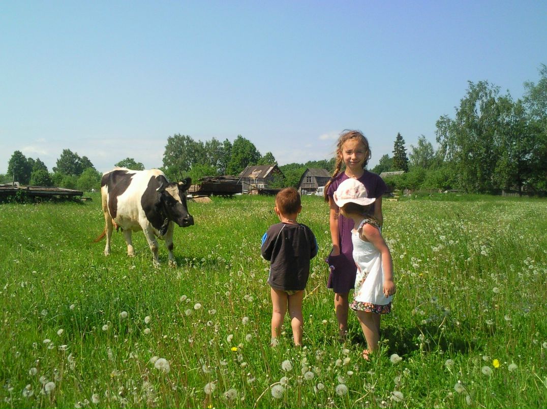 Аркадий Лялин | Москва