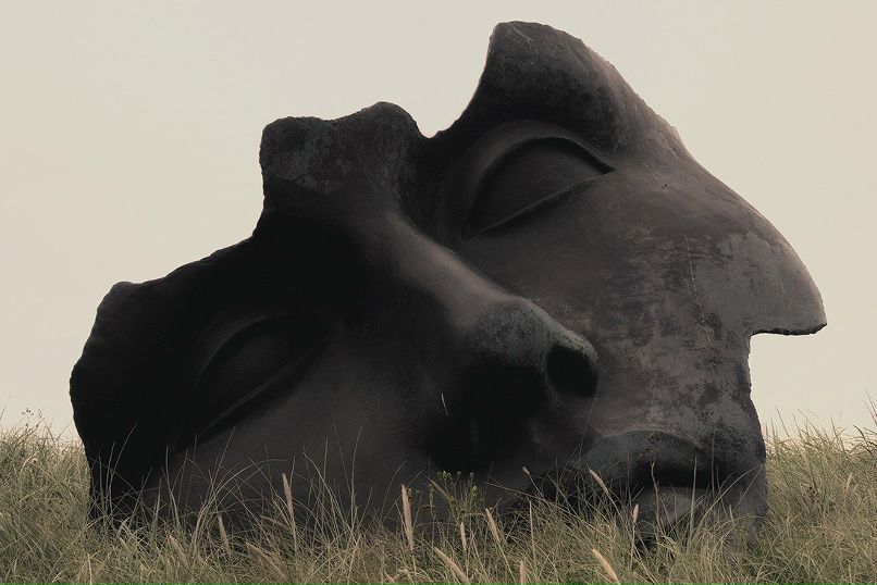 Рустам Ибрагимов | Барнаул