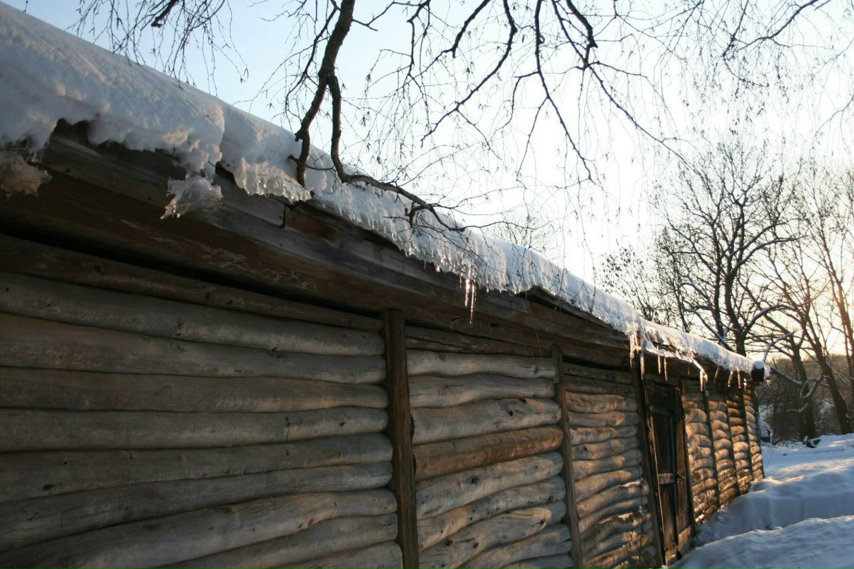 Алексей Чупарнов | Тула