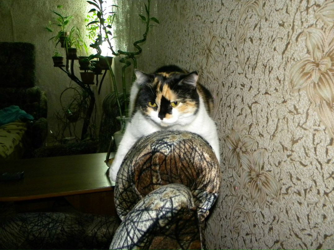 Татьяна Емец | Липецк