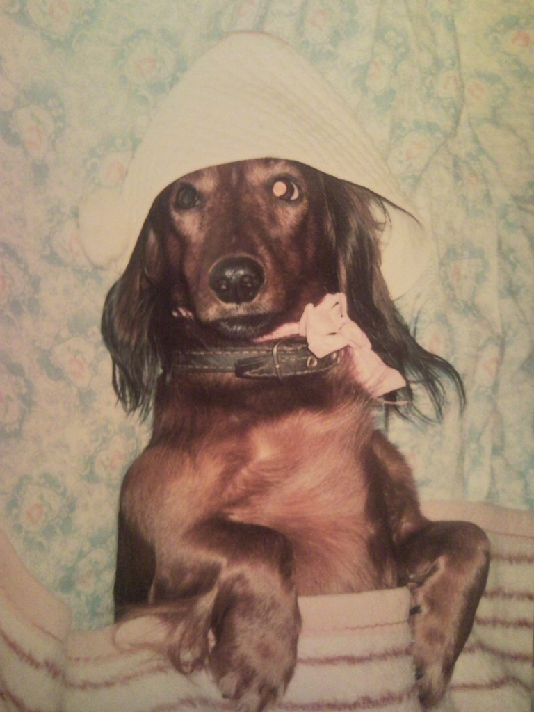 Generalova Yana ☾⋆ | Москва